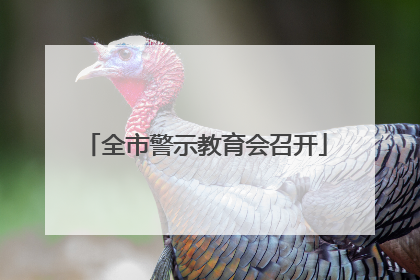 全市警示教育会召开