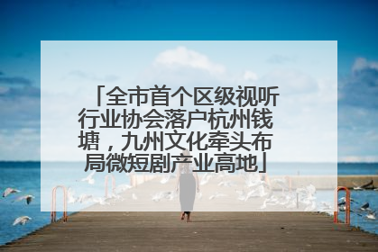 全市首个区级视听行业协会落户杭州钱塘，九州文化牵头布局微短剧产业高地