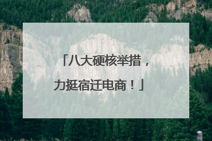 八大硬核举措，力挺宿迁电商！