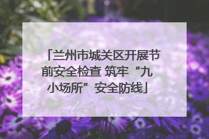 兰州市城关区开展节前安全检查 筑牢“九小场所”安全防线