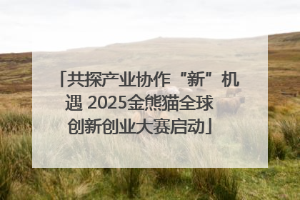 共探产业协作“新”机遇 2025金熊猫全球创新创业大赛启动