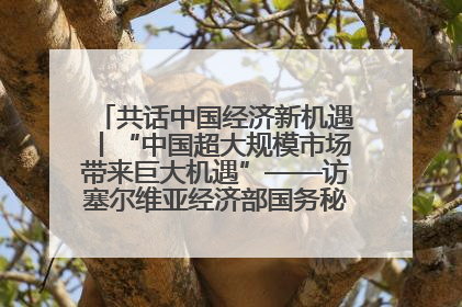 共话中国经济新机遇丨“中国超大规模市场带来巨大机遇”——访塞尔维亚经济部国务秘书尼科利奇