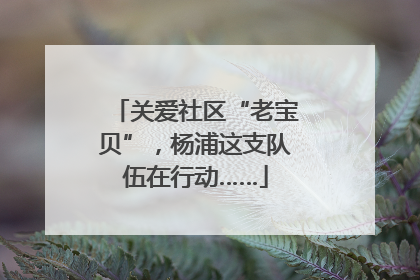 关爱社区“老宝贝”，杨浦这支队伍在行动……
