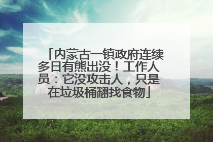 内蒙古一镇政府连续多日有熊出没！工作人员：它没攻击人，只是在垃圾桶翻找食物