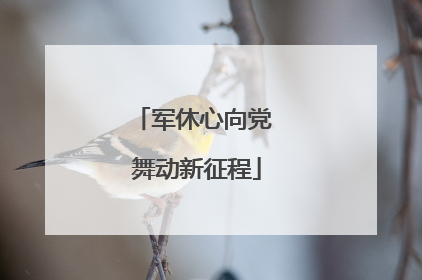 军休心向党 舞动新征程