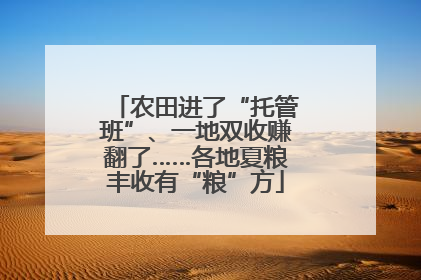 农田进了“托管班”、一地双收赚翻了……各地夏粮丰收有“粮”方