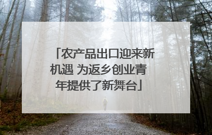农产品出口迎来新机遇 为返乡创业青年提供了新舞台