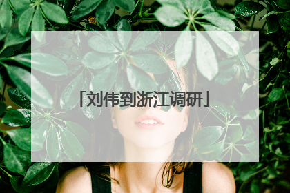 刘伟到浙江调研