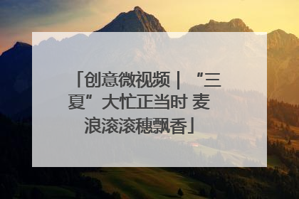创意微视频｜“三夏”大忙正当时 麦浪滚滚穗飘香