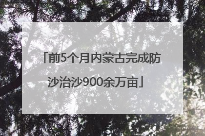 前5个月内蒙古完成防沙治沙900余万亩