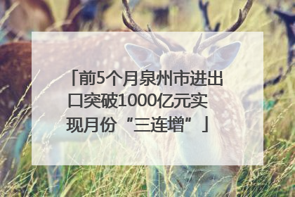 前5个月泉州市进出口突破1000亿元实现月份“三连增”