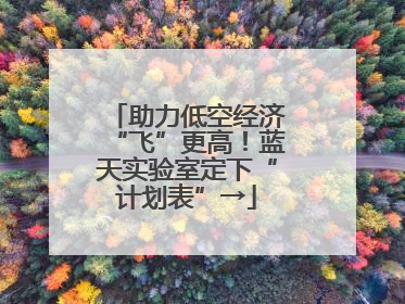 助力低空经济“飞”更高！蓝天实验室定下“计划表”→