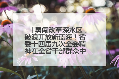 勇闯改革深水区，破浪开放新蓝海！省委十四届九次全会精神在全省干部群众中引发热烈反响