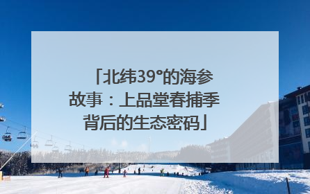 北纬39°的海参故事：上品堂春捕季背后的生态密码