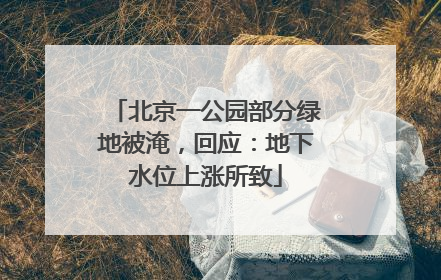 北京一公园部分绿地被淹，回应：地下水位上涨所致