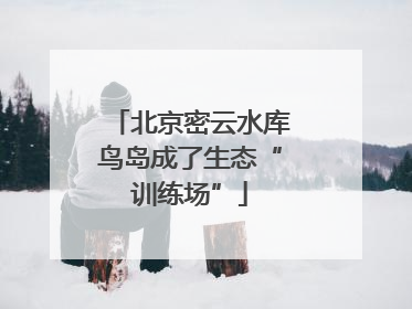 北京密云水库鸟岛成了生态“训练场”