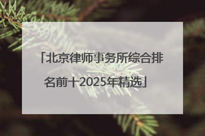 北京律师事务所综合排名前十2025年精选