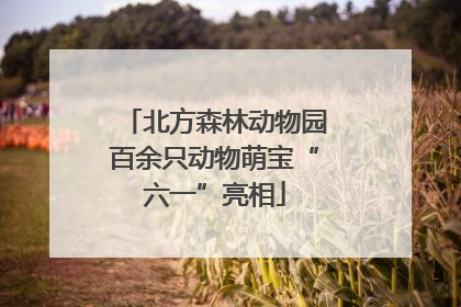 北方森林动物园百余只动物萌宝“六一”亮相