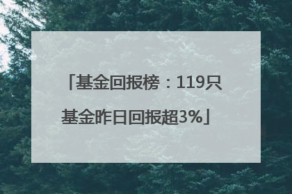 基金回报榜：119只基金昨日回报超3%