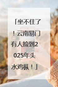 坐不住了！云南易门有人捡到2025年头水鸡枞！