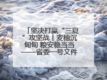 坚决打赢“三夏”攻坚战丨麦穗沉甸甸 粮安稳当当——省委一号文件系列解读①