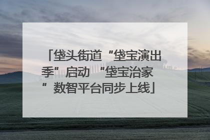 垡头街道“垡宝演出季”启动 “垡宝治家”数智平台同步上线