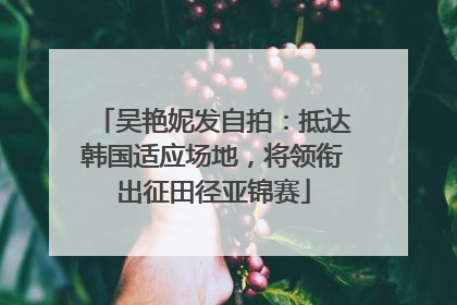 吴艳妮发自拍：抵达韩国适应场地，将领衔出征田径亚锦赛