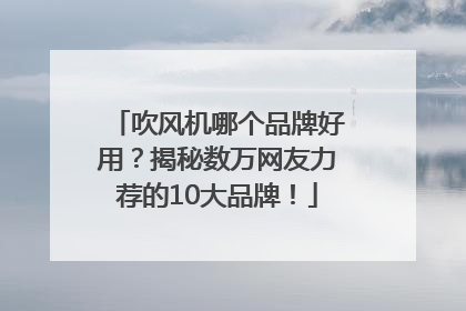 吹风机哪个品牌好用？揭秘数万网友力荐的10大品牌！