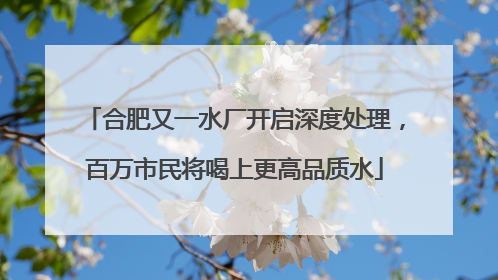 合肥又一水厂开启深度处理，百万市民将喝上更高品质水