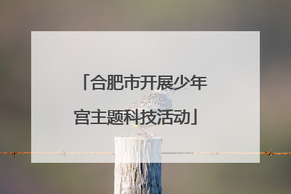 合肥市开展少年宫主题科技活动