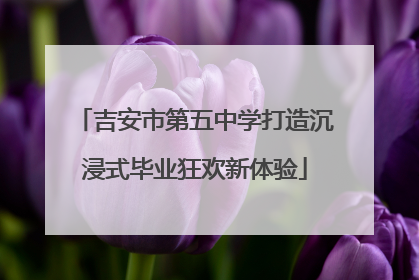 吉安市第五中学打造沉浸式毕业狂欢新体验