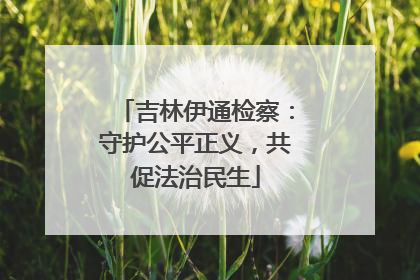 吉林伊通检察：守护公平正义，共促法治民生