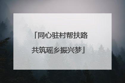 同心驻村帮扶路 共筑瑶乡振兴梦