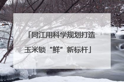 同江用科学规划打造玉米锁“鲜”新标杆