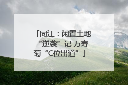 同江：闲置土地“逆袭”记 万寿菊“C位出道”