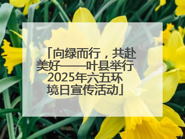 向绿而行，共赴美好——叶县举行2025年六五环境日宣传活动