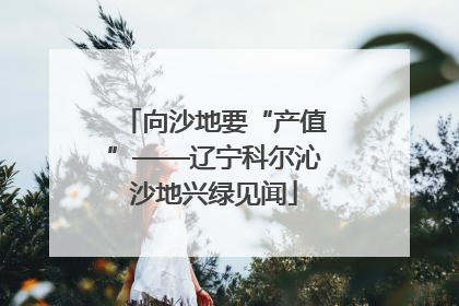 向沙地要“产值”——辽宁科尔沁沙地兴绿见闻