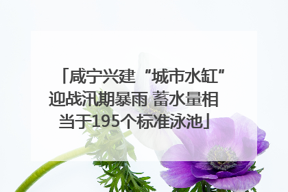 咸宁兴建“城市水缸”迎战汛期暴雨 蓄水量相当于195个标准泳池