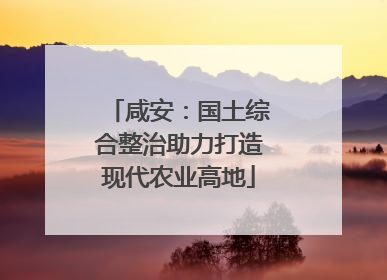 咸安：国土综合整治助力打造现代农业高地