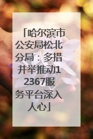 哈尔滨市公安局松北分局：多措并举推动12367服务平台深入人心