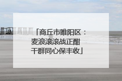 商丘市睢阳区：麦浪滚滚战正酣 干群同心保丰收