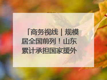 商务视线｜规模居全国前列！山东累计承担国家援外项目340多个