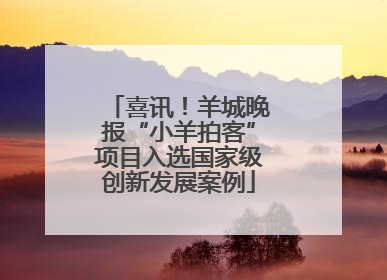 喜讯！羊城晚报“小羊拍客”项目入选国家级创新发展案例