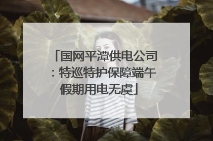 国网平潭供电公司：特巡特护保障端午假期用电无虞