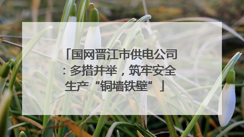 国网晋江市供电公司：多措并举，筑牢安全生产“铜墙铁壁”