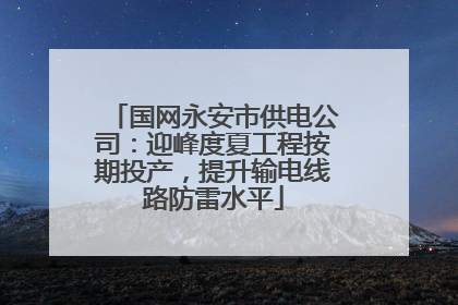 国网永安市供电公司：迎峰度夏工程按期投产，提升输电线路防雷水平
