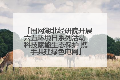国网湖北经研院开展六五环境日系列活动 科技赋能生态保护 携手共建绿色电网