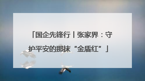 国企先锋行丨张家界：守护平安的那抹“金盾红”