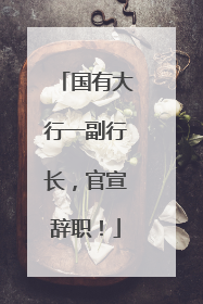国有大行一副行长，官宣辞职！