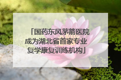 国药东风茅箭医院成为湖北省首家专业复学康复训练机构